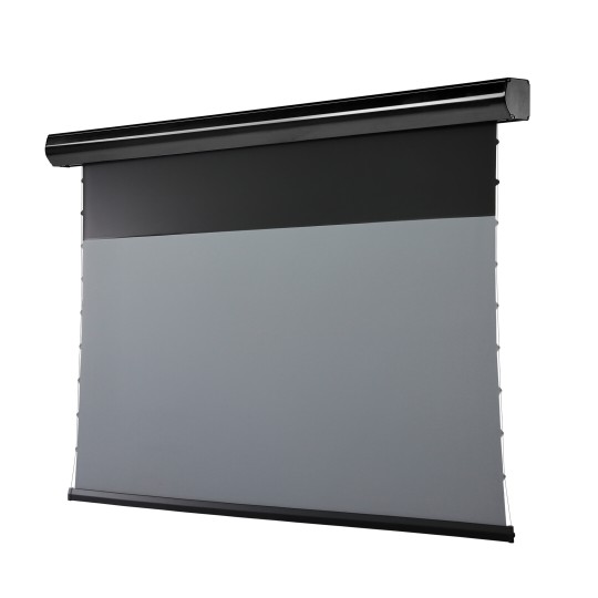 Celexon 120" - Écran de projection motorisé HomeCinema Plus - CLR UST Noir